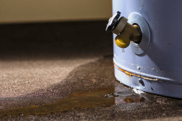 Best Flood damage cleanup  in Nassau Village Ratliff, FL