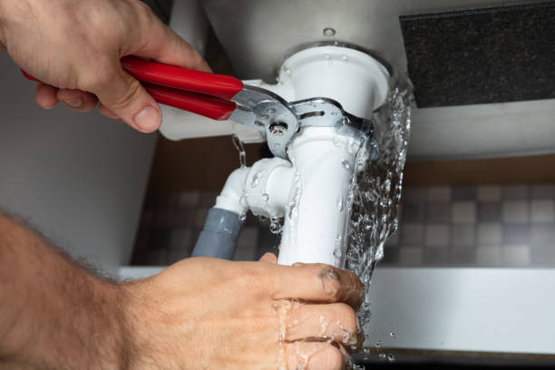 Best Mold removal after water damage  in Nassau Village Ratliff, FL