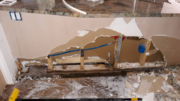 Best Professional water damage repair  in Nassau Village Ratliff, FL