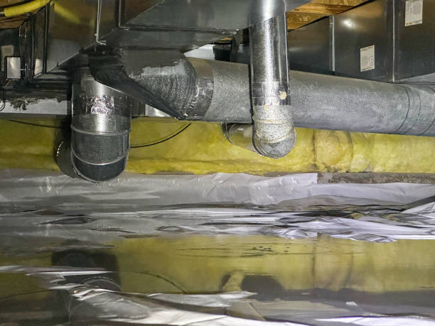 Best Water damage mitigation services  in Nassau Village Ratliff, FL